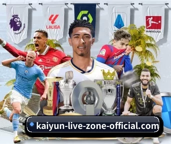 开云 APP(kaiyun)