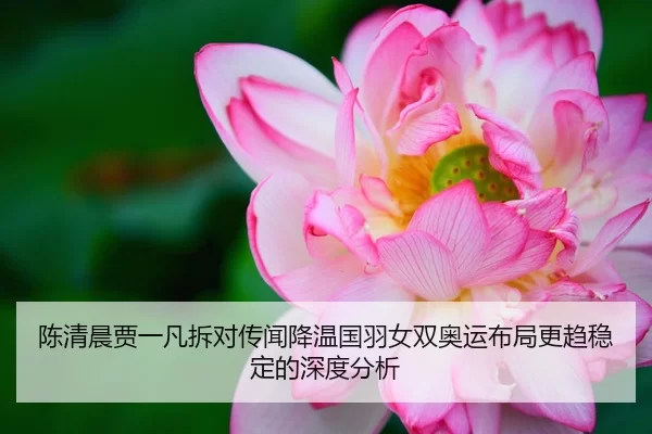 陈清晨贾一凡拆对传闻降温国羽女双奥运布局更趋稳定的深度分析