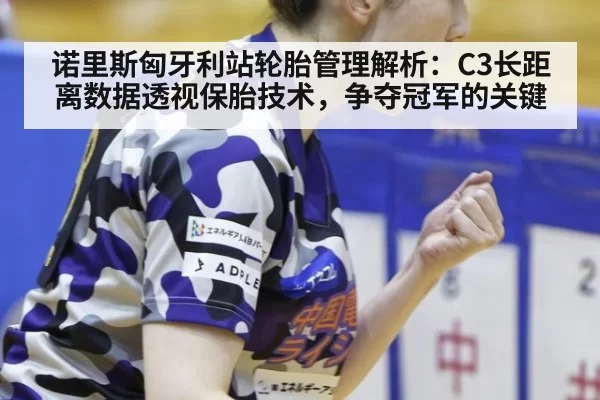 诺里斯匈牙利站轮胎管理解析:C3长距离数据透视保胎技术,争夺冠军的关键