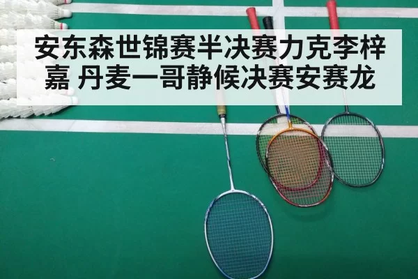 badminton match final