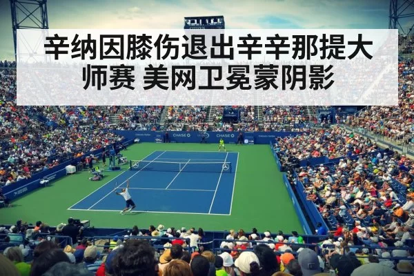 辛纳因膝伤退出辛辛那提大师赛 美网卫冕蒙阴影